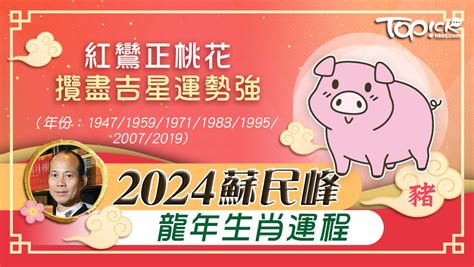 肖豬2024|2024 肖豬流年運程 